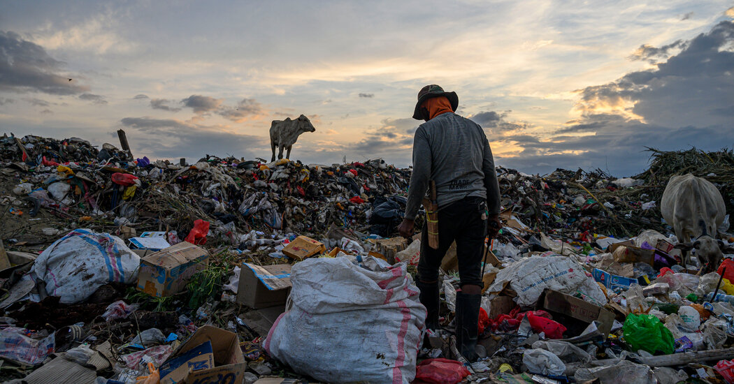 Aquí está quién está detrás del aumento global de plásticos de un solo uso