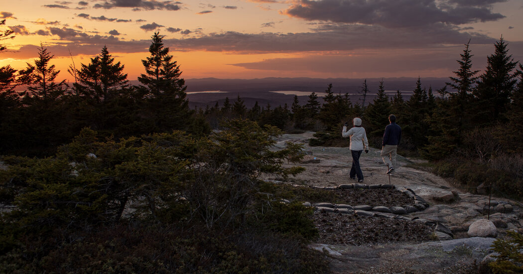 ¿Qué guardar?  El cambio climático obliga a tomar decisiones brutales en los parques nacionales.