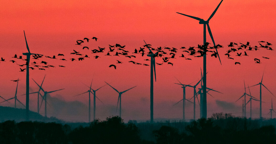 A nuestra respuesta al cambio climático le falta algo importante, dicen los científicos