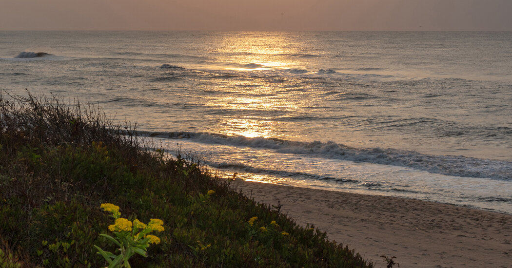 En arrendamiento: espacio de molino de viento en el Atlántico entre Long Island y Nueva Jersey