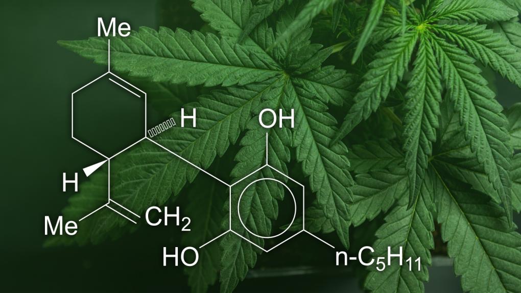 cannabinoide