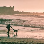 Playas para Perros