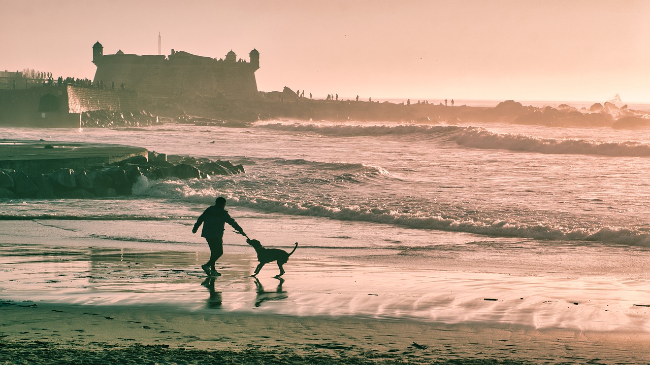 Playas para Perros