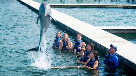 Nadar con delfines en Cancún 2