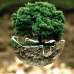 medio ambiente