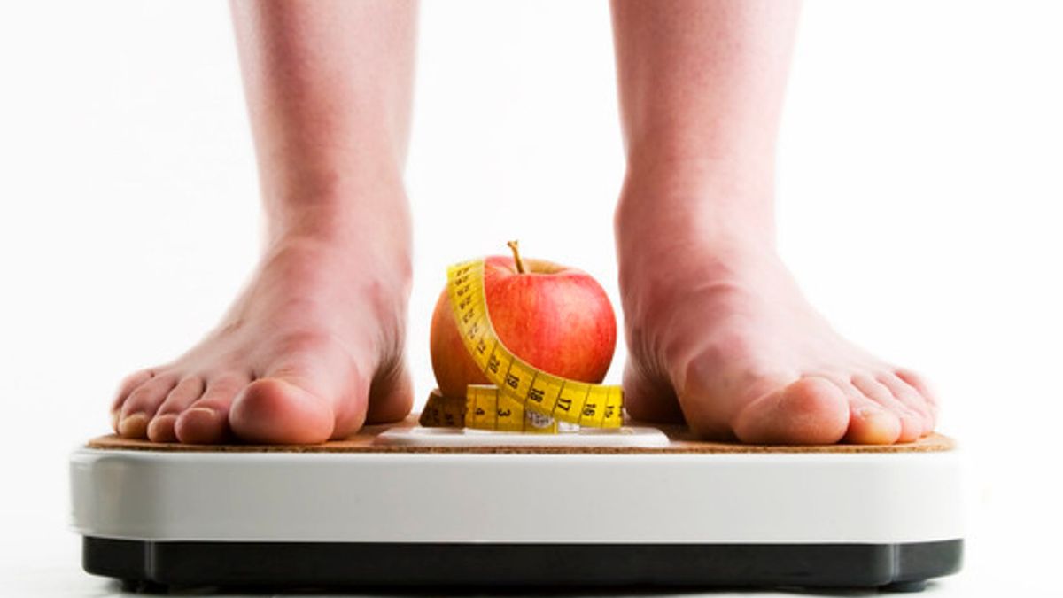 metabolismo