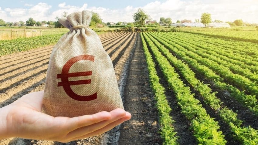 Ideas-de-negocios-rentables-en-pueblos