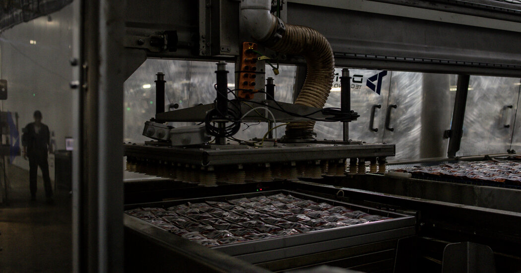 Cómo sobrevivió y prosperó una empresa ucraniana durante un año de guerra