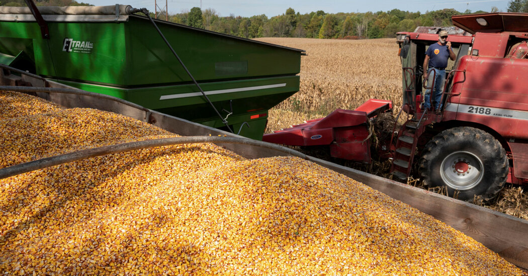 Estados Unidos cuestiona prohibición mexicana de maíz transgénico