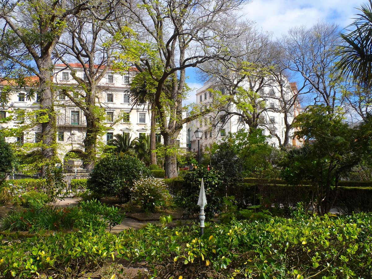 Jardín de San Carlos