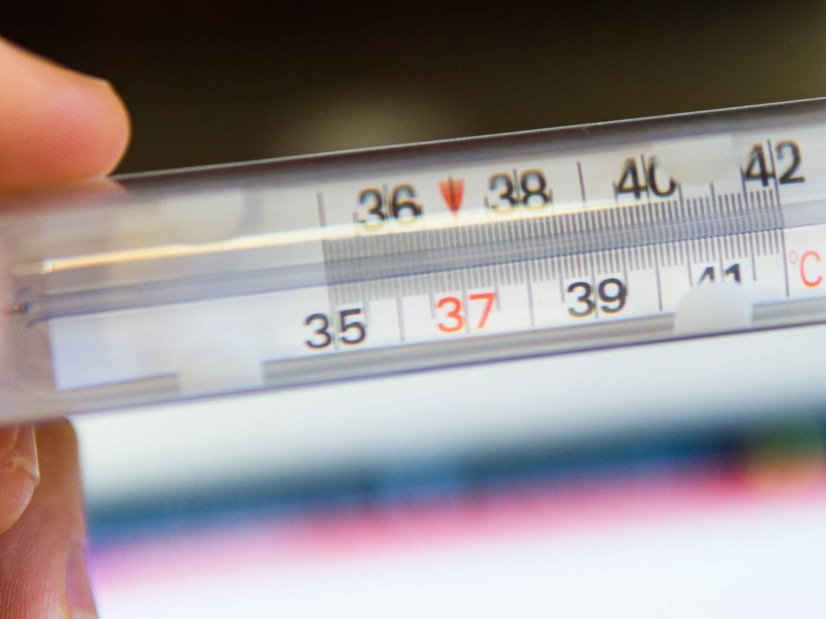 temperatura corporal